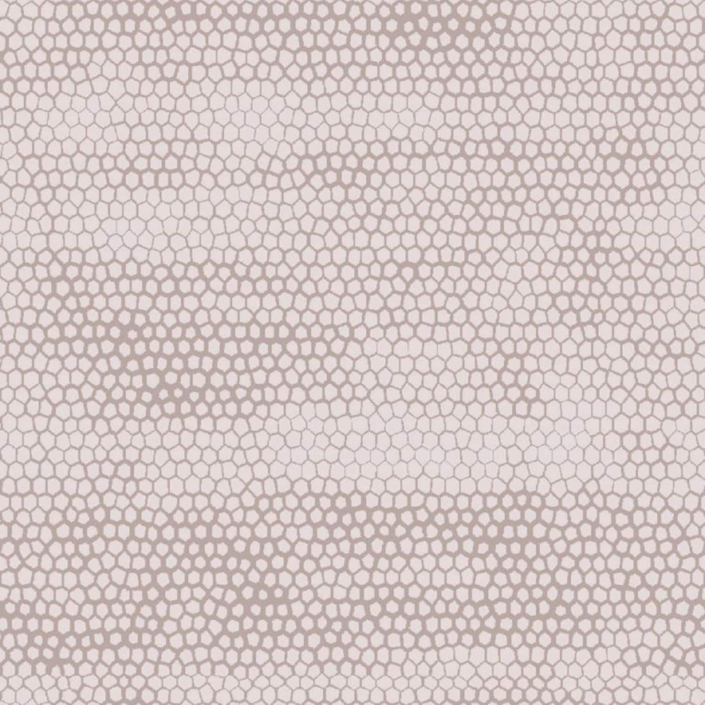Completo Lenzuola Bon Bon – Fantasia Cotone – Linea Quadrifoglio – Made in Italy
