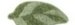 Tappetino Bagno Foglia Leaf - Verde