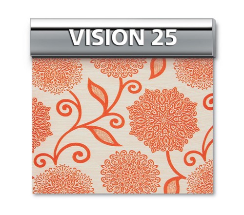Vision 25