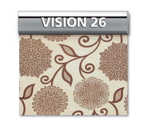 Vision 26