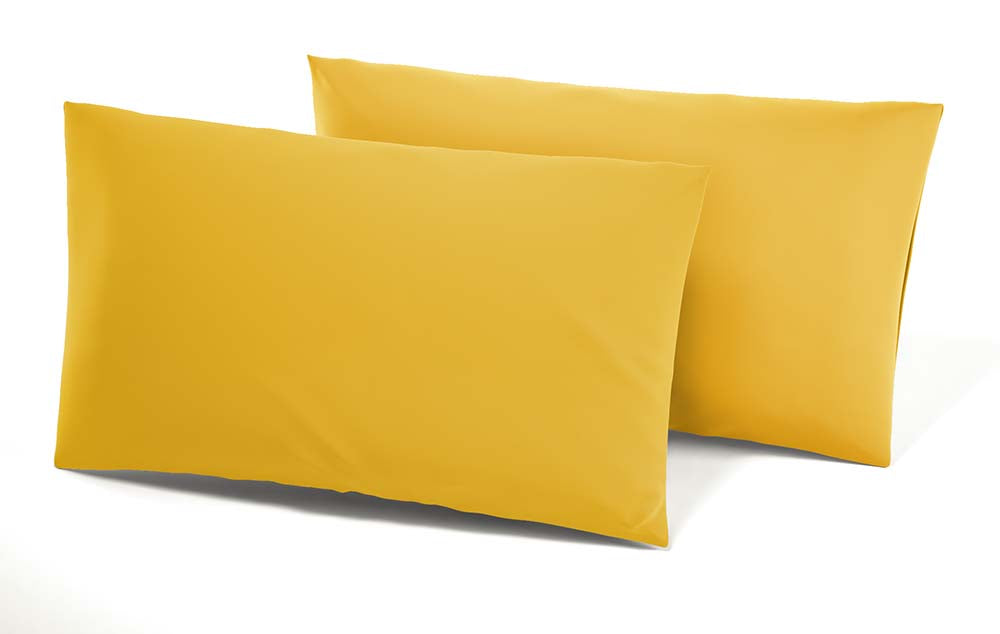 Coppia Federe Lettino