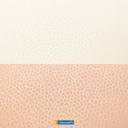 Indicolor - Trapunta Double Face in Microfibra- Biancaluna