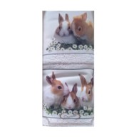 Asciugamani Coniglietti
