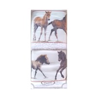 Asciugamani Mustang