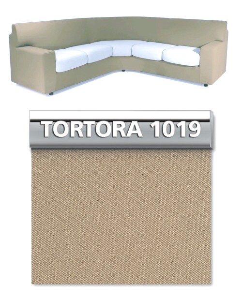 Tortora