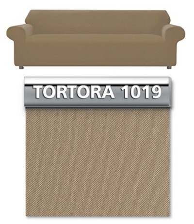 Tortora