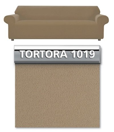 Tortora