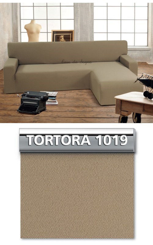 Tortora