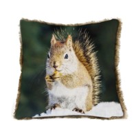Cuscino Arredo Scoiattolo