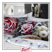 Lenzuola Flanella Matrimoniali Cogal 2121