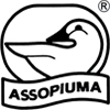Piumino singolo Molina P100 certificato Assopiuma