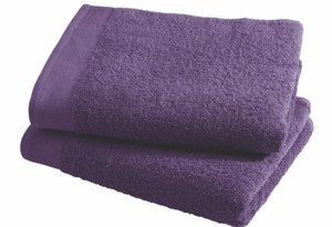 Viola