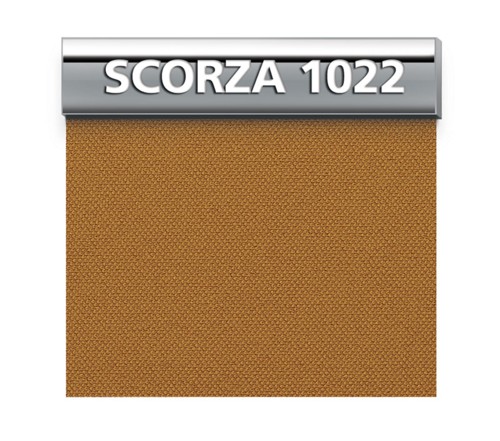 Scorza