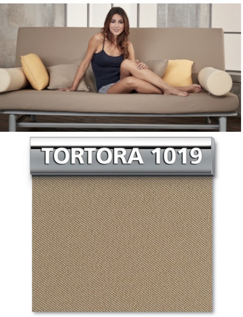 Tortora