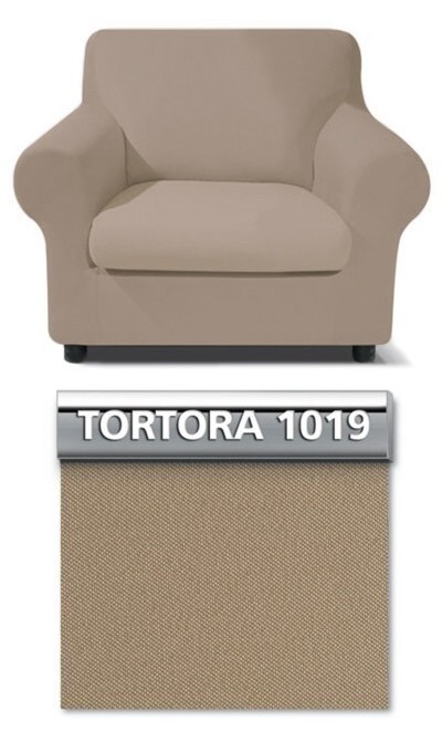 Tortora