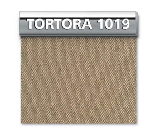 Tortora